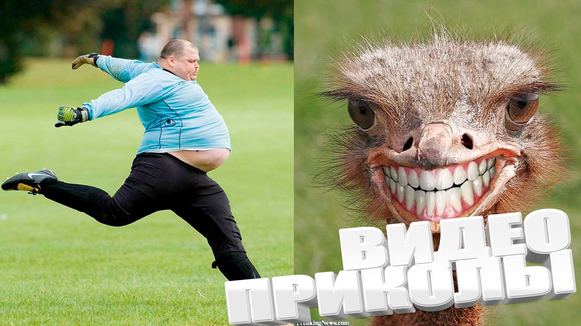 ПОДБОРКА ПРИКОЛОВ Я РЖАЛ ДО СЛЕЗ, ЛУЧШИЕ ПРИКОЛЫ 2026 СМЕШНЫЕ ВИДЕО, ПОДБОРКА ПРИКОЛОВ смотреть онлайн