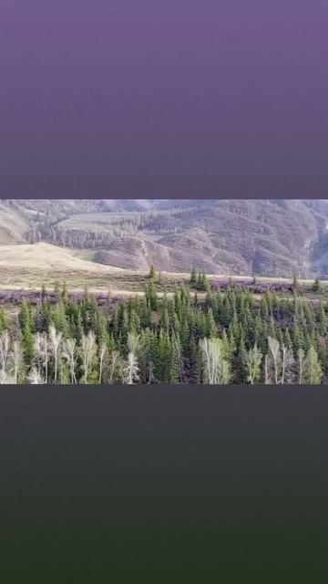 Турбаза Турбина в Онгудайском районе 27