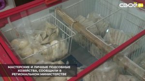 В Кочубеевском округе в 2025 году заключили 137 социальных контрактов