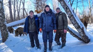 МОРОЗ КРИТИЧЕН! ДИКОМУ ЗВЕРЮ НЕ ВЫЖИТЬ БЕЗ ПОМОЩИ ЧЕЛОВЕКА. №376