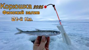 Корюшка 2026/Финский залив 21-й км/Посёлок Песочное