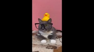 ЧТО ЕСЛИ БЫ КОТИКИ ХОДИЛИ В ШКОЛУ СБОРНИК #2