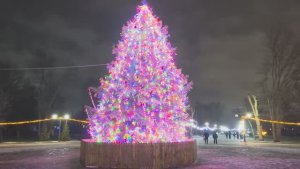 HDR PLUS Луганск Новогодний Парк Горького на Рождество Христово №1