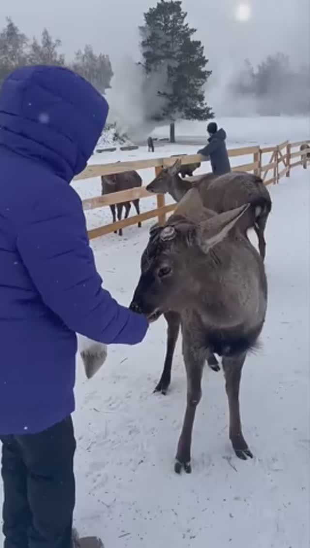 Боровое. смотреть онлайн