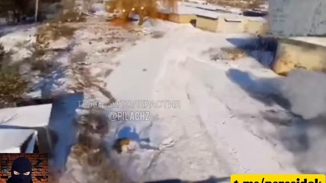 Двойная дроновая засада на ВСУшников смотреть онлайн