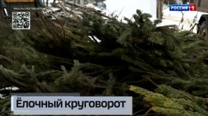 Ёлочный круговорот