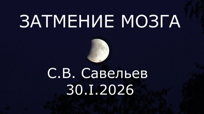С.В. Савельев - Затмение мозга смотреть онлайн