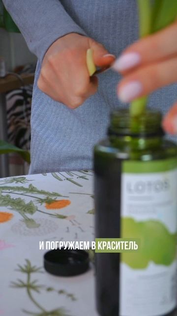 Тюльпан + фисташковый Lotos — наше весеннее вдохновение!