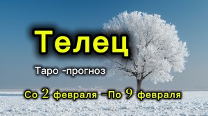 ТЕЛЕЦ 💖ТАРО ПРОГНОЗ ‼️02.02-09.02(2026) #прогноз #таро #телец