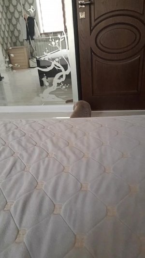 просто разговаривать