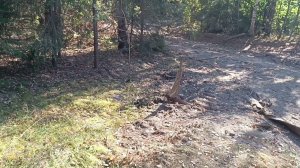 Пошутил над другом , а он ?!?!?