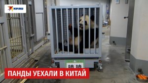 Панды Сяо-Сяо и Лэй-Лэй покинули токийский зоопарк Уэно