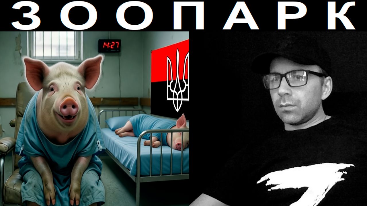 Реакция на русских. Чат рулетка смотреть онлайн