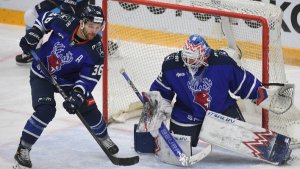 Торпедо - Северсталь. Матч от 28.01.2026