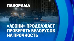 "Леони" не пощадил никого: по всей Беларуси ведется круглосуточная борьба с последствиями циклона