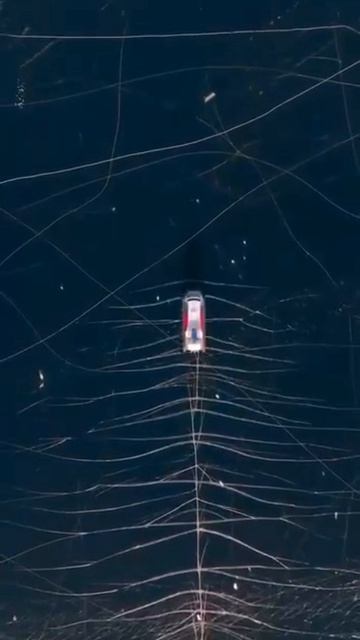 Музыка Байкала смотреть онлайн