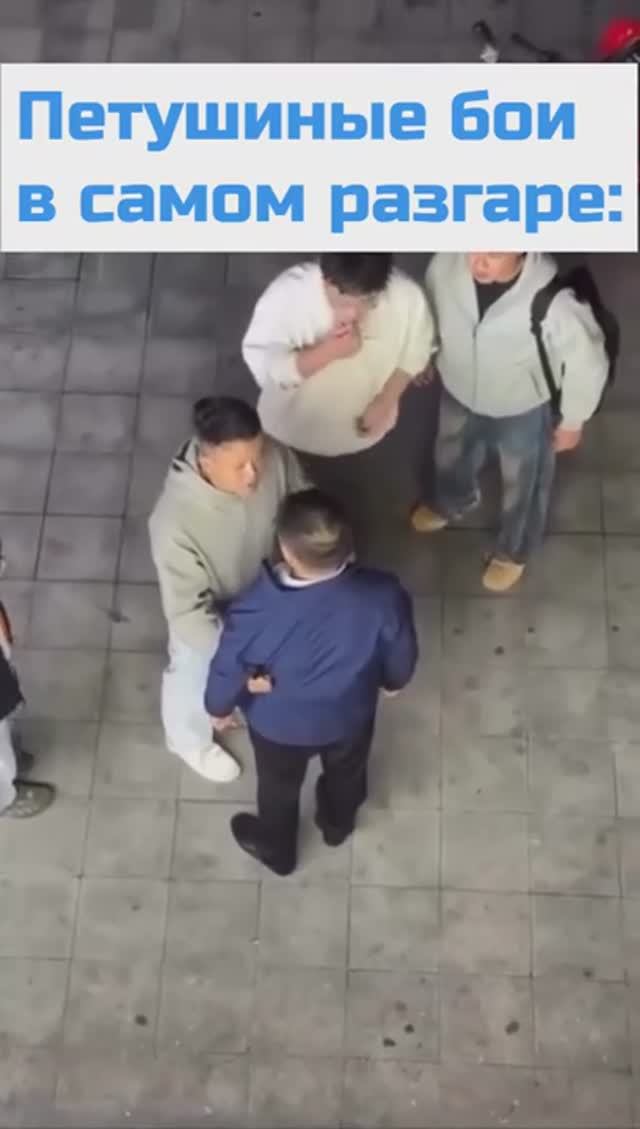 Кунг-фу уже не тот смотреть онлайн