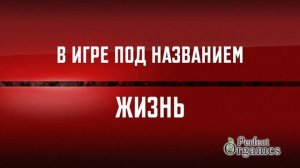 Высшая Лига Огонь 2026