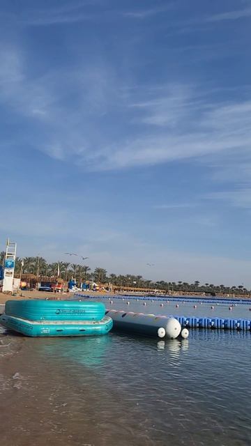 Египет,море,чайки! смотреть онлайн