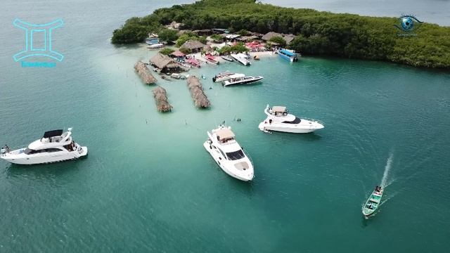 БЛИЗНЕЦЫ Гороскоп Февраль 2026 год, мюзикл смотреть онлайн