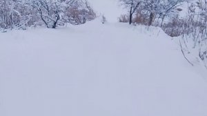 Доброе Снежное Утро ✅📌 📍 Брюховецкий район 16.01.2026