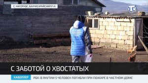 В Бахчисарайском районе проводят вакцинацию животных