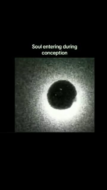 ����� �����: ������ ������� ������� ��� ������� ��������