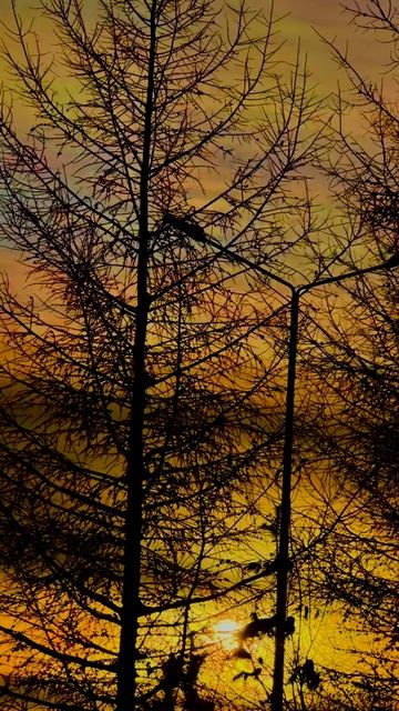 РАССВЕТ смотреть онлайн