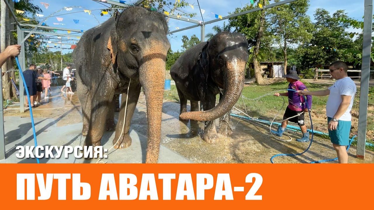 Экскурсия Путь Аватара-2 с Пхукета 2025 смотреть онлайн