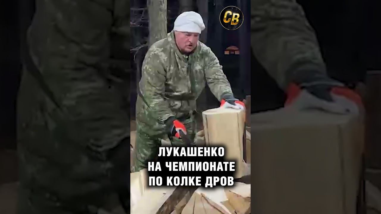 Лукашенко рубит дрова #шортс #лукашенко #дровосек #дрова #беларусь смотреть онлайн