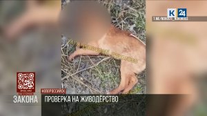 На стороне закона. 28.01.2026