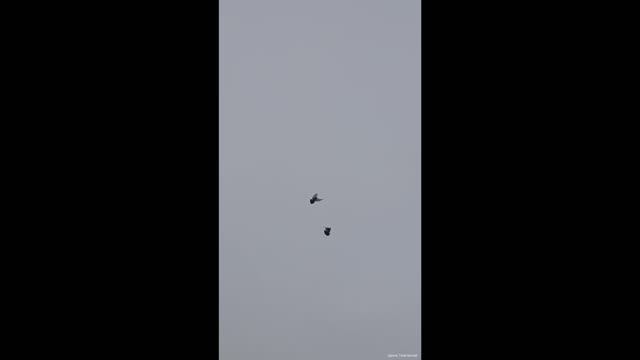 Бойные голуби Олега. Рязанская область. Рыбное смотреть онлайн