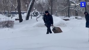 До 50% месячной нормы снега выпало в Московском регионе за сутки