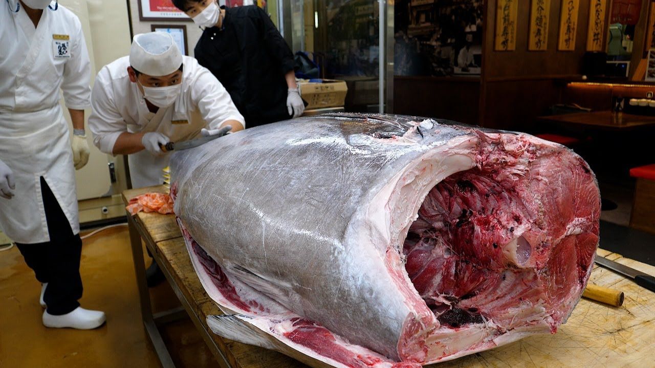 200 кг крупного тунца Сеул, Корея смотреть онлайн