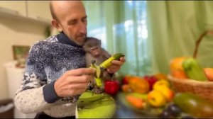 Люся РАЗВЛЕКАЕТСЯ как может! Чистит огурец, катается на руках и ревнует Ангелину!