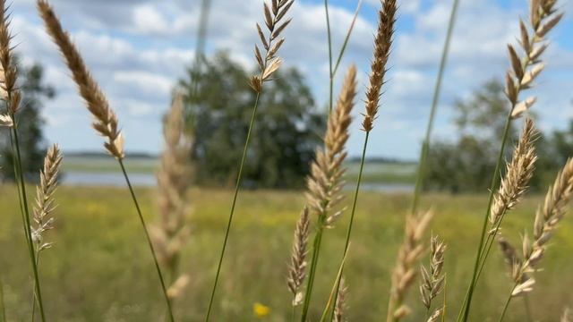 🎼. Scorpions – «Maybe I Maybe You» смотреть онлайн