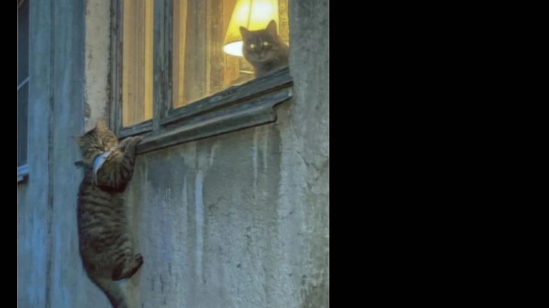 НАЧИНКА ПРОТУХЛА : ОЖОГИ СТАВЯТ ,,РАК,, , ,,ГЕРПЕС ,, , ,,ТРИППЕР ,, ... смотреть онлайн