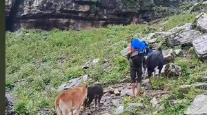 23серия/Жизнь в горной деревне Непала | в непальской бедной, но счастливой семье