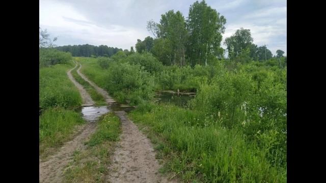 Хочу лето. смотреть онлайн