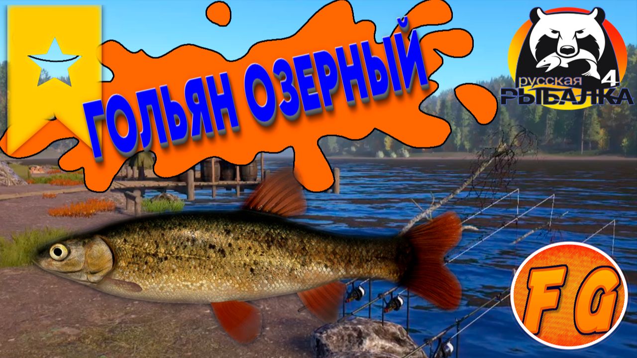 Добыча живца Гольяна озерного. Трофей Гольян озерный. р. Нижняя Тунгуска. рр4. Русская рыбалка 4. смотреть онлайн