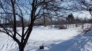 Напекла блинов! Весенняя погода! Набор воды из стока! Юг России 🌴