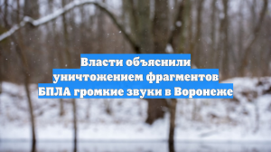 Власти объяснили уничтожением фрагментов БПЛА громкие звуки в Воронеже