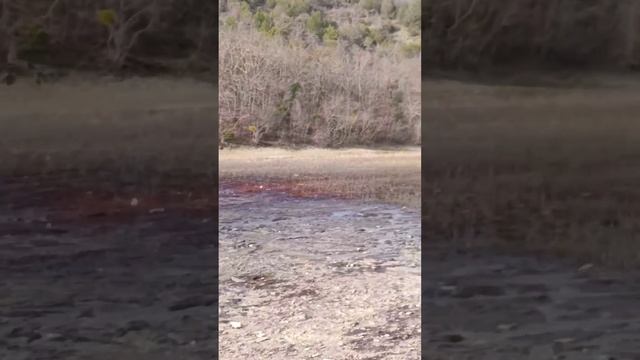 Кипарисы в воде: Кипарисовое озеро Сукко 28 Января 2026 года смотреть онлайн