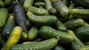 Тюменец украл 1,4 тонны огурцов и 400 кг бананов для продажи в своем киоске