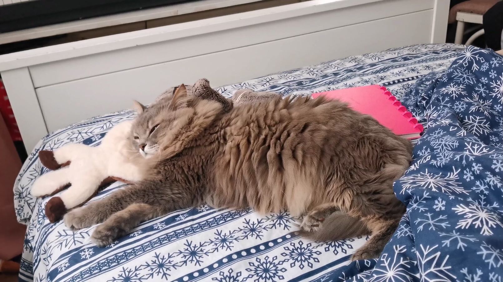 Настоящая зима. Покупки. Настёна печет печенье. смотреть онлайн