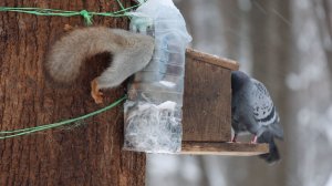 Снегопад. Опоздал в парк. Зарисовка