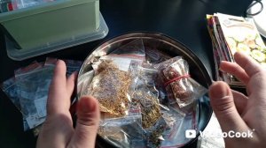 Дела цветочные: что буду сеять в 2026.