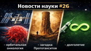 «Новости науки #26: орбитальная онкология, загадка Прототакситов и долголетие»