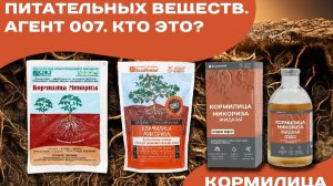 Супердобытчик питательных веществ. Агент 007. Кто это? Кормилица Микориза