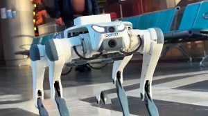 Роботы-собаки начали патрулировать торговые центры и вокзалы Астаны
